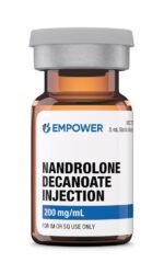 accelerates protein synthesis, and contribute