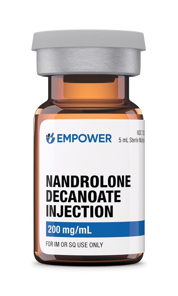 accelerates protein synthesis, and contribute
